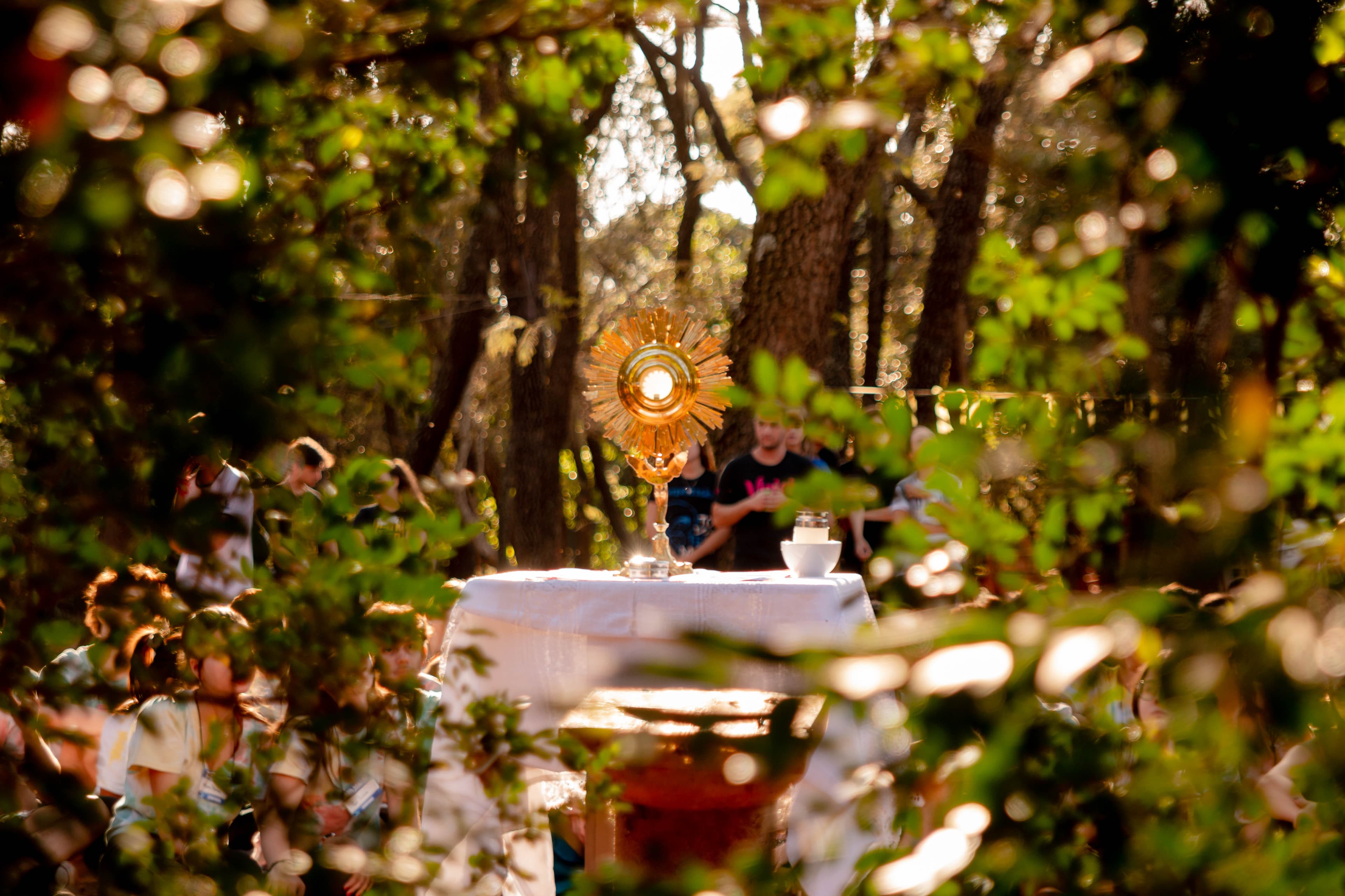 Santisimo Sacramento, na floresta